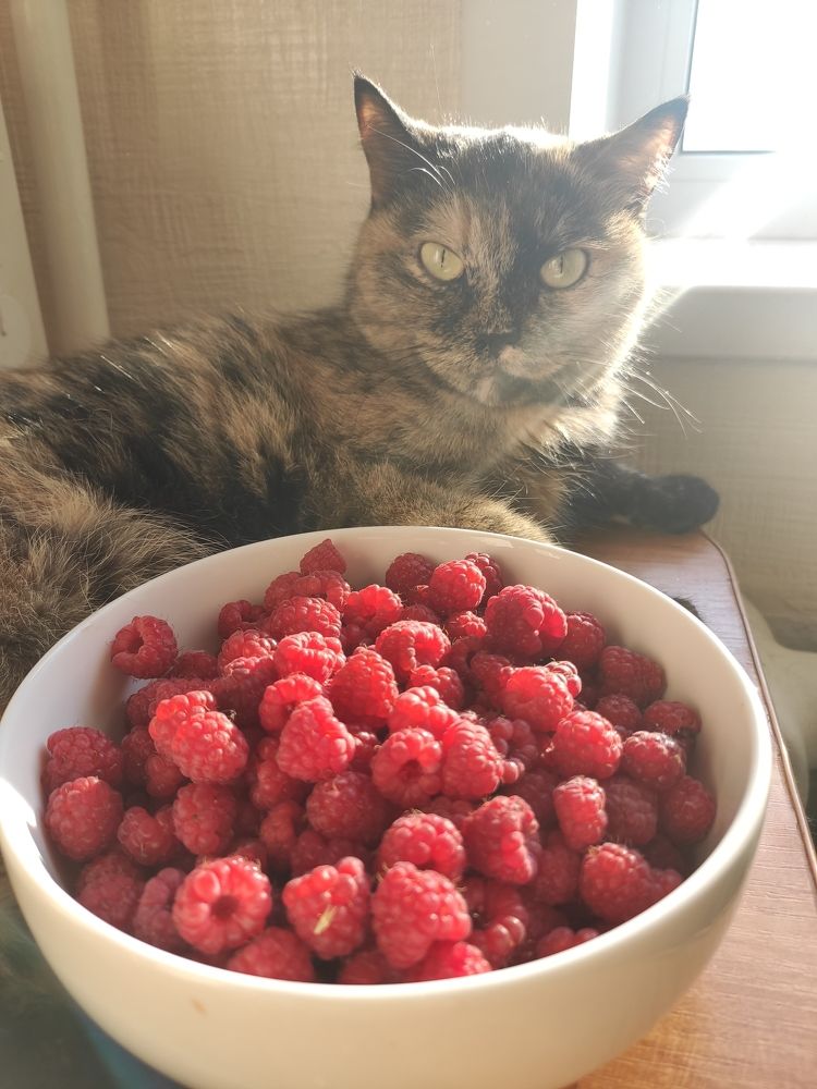 Photograph by Elvira Magsumova