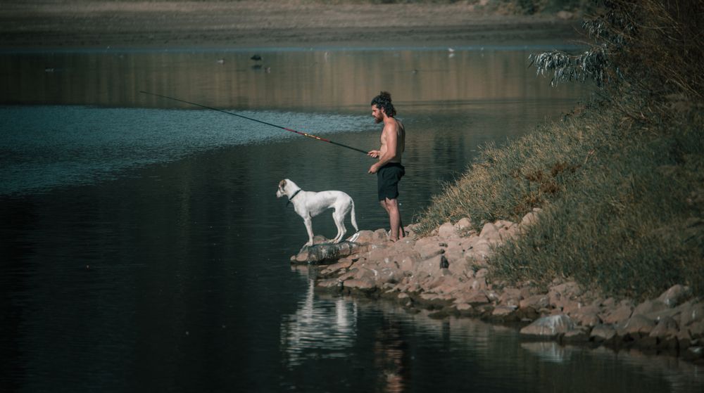 Photograph by Алекс Гейнер