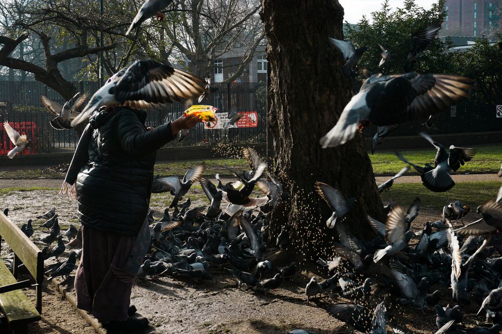 Photograph by Sreenadh G V