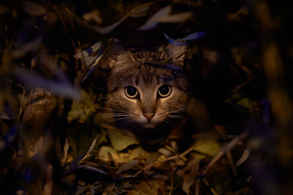 Photograph by Марина Бурмистрова