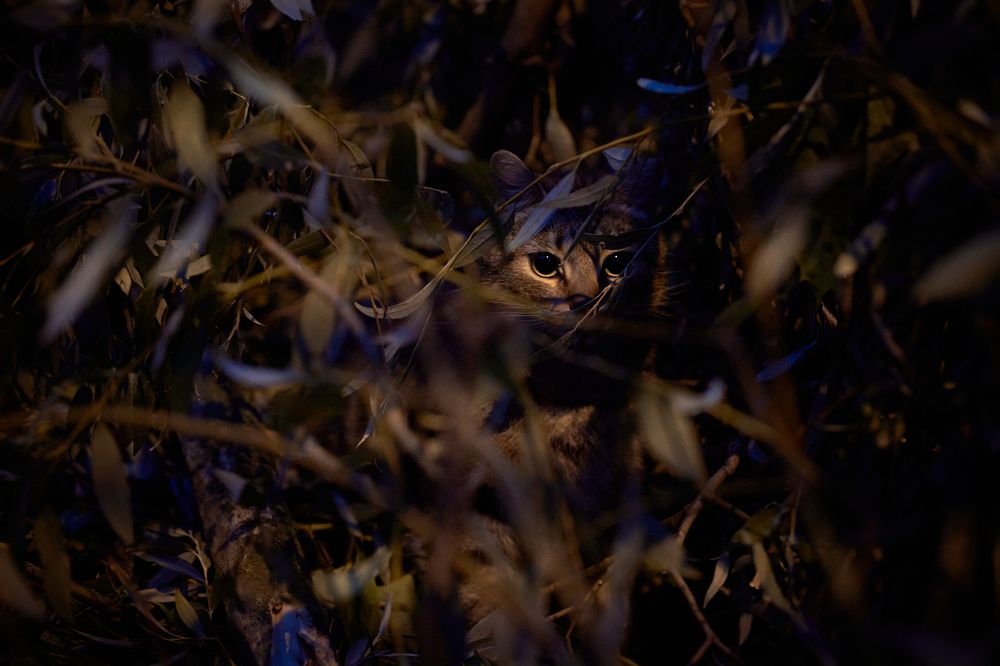 Photograph by Марина Бурмистрова