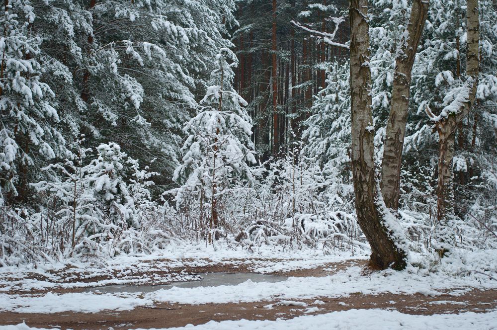 Photograph by Дарья Кончакова