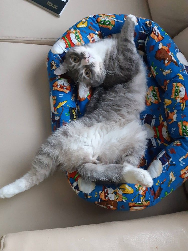 Тима выкрутасов