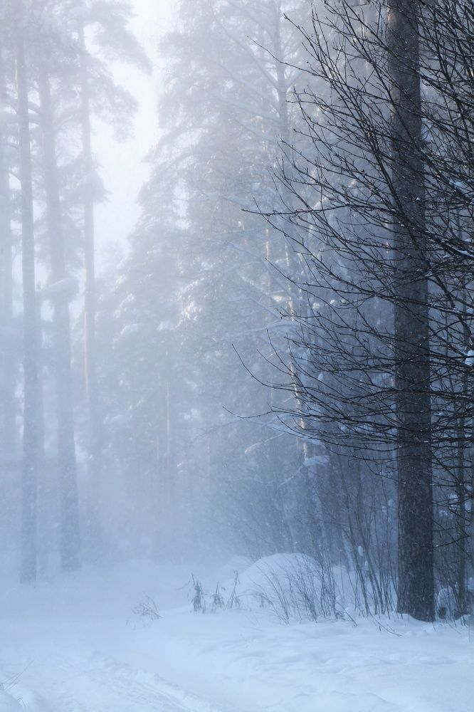 Photograph by Виктория Хмара