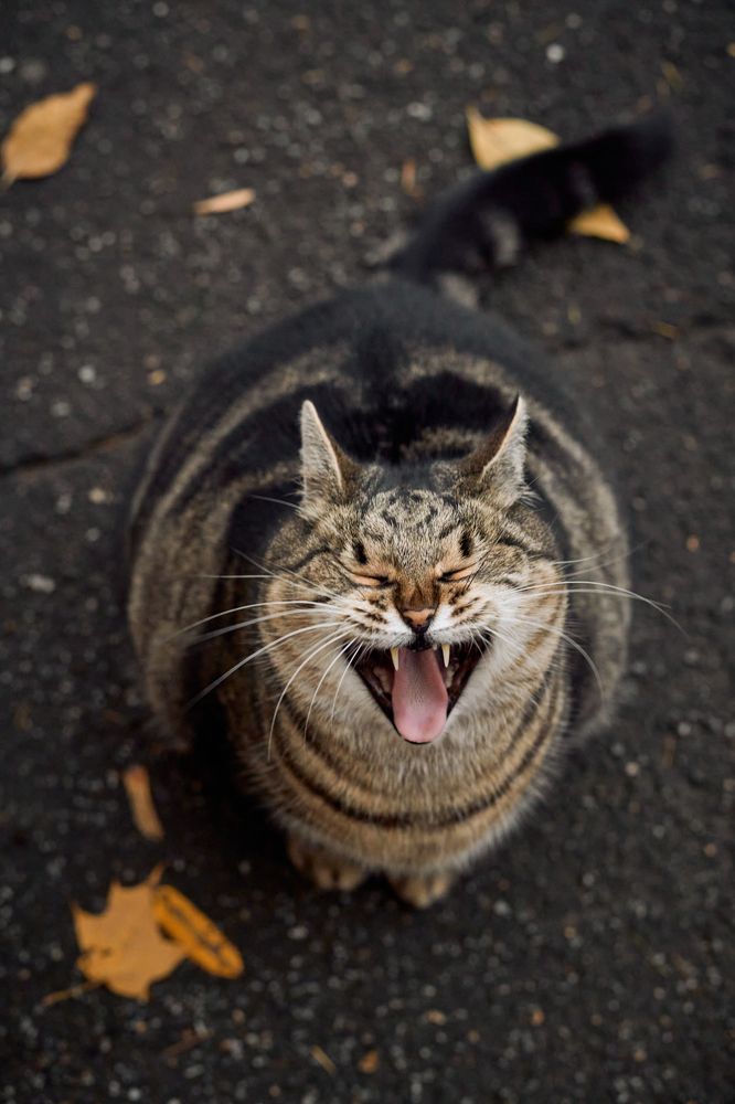 Photograph by Марина Бурмистрова