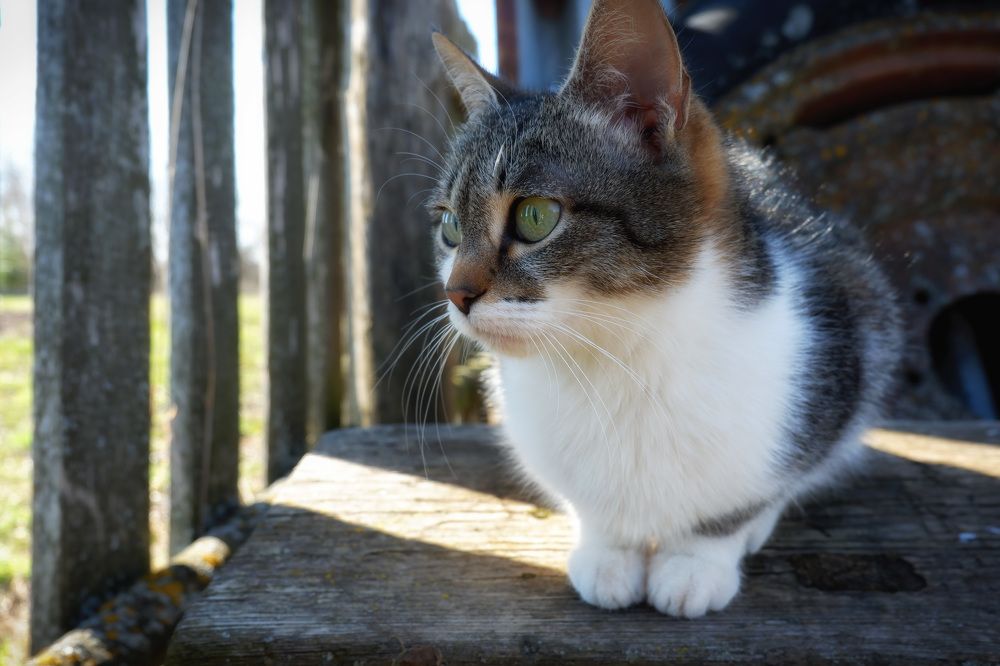 Photograph by Юлия Морозова