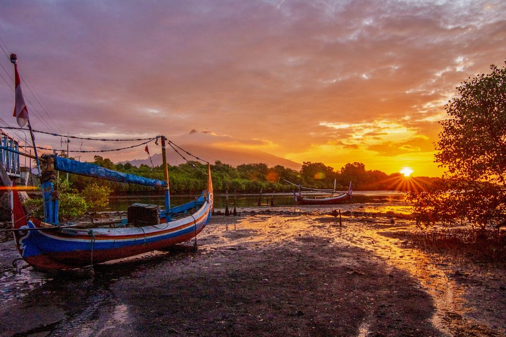 Golden Hours At river Mouth