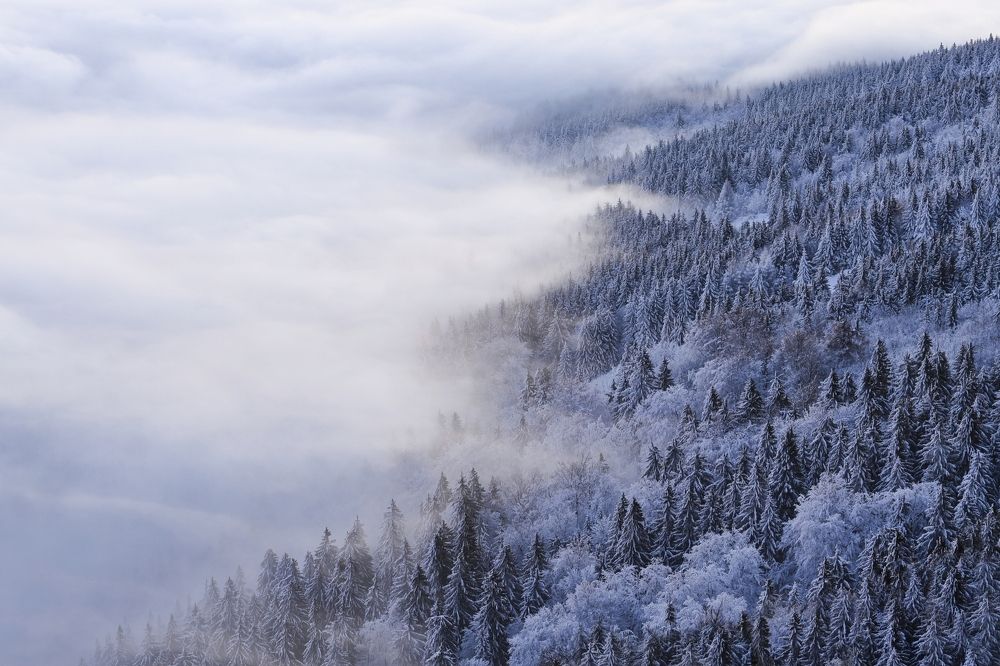 Фотография автора Michaela Vinterova