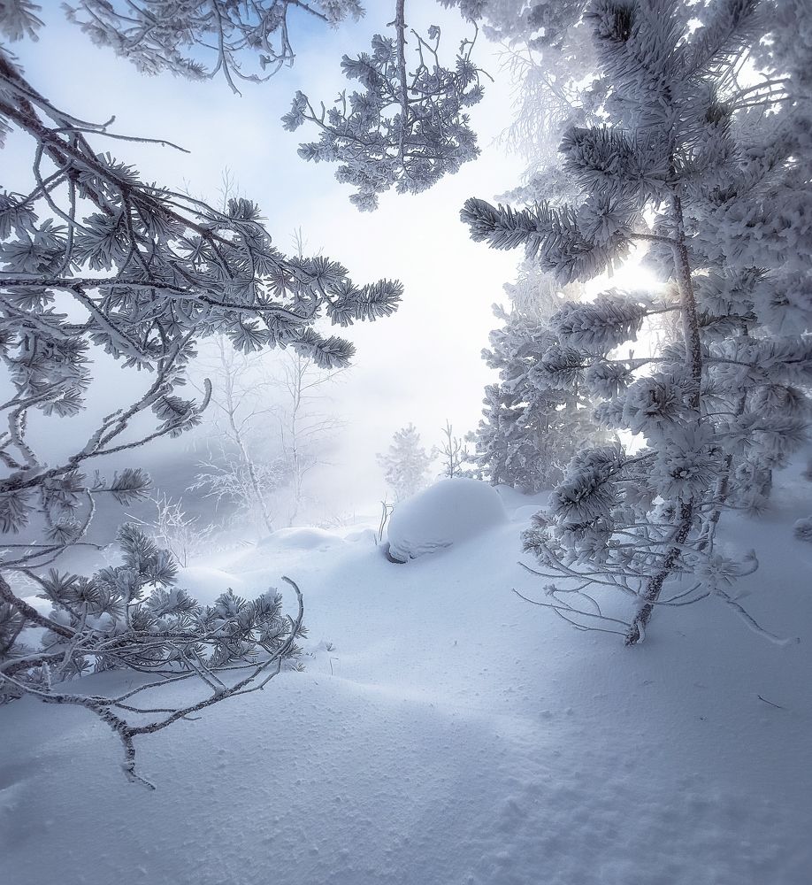 Photograph by Фомина Марина