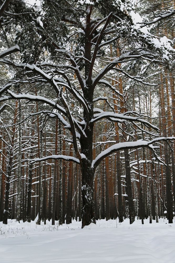 Photograph by Татьяна Атисс