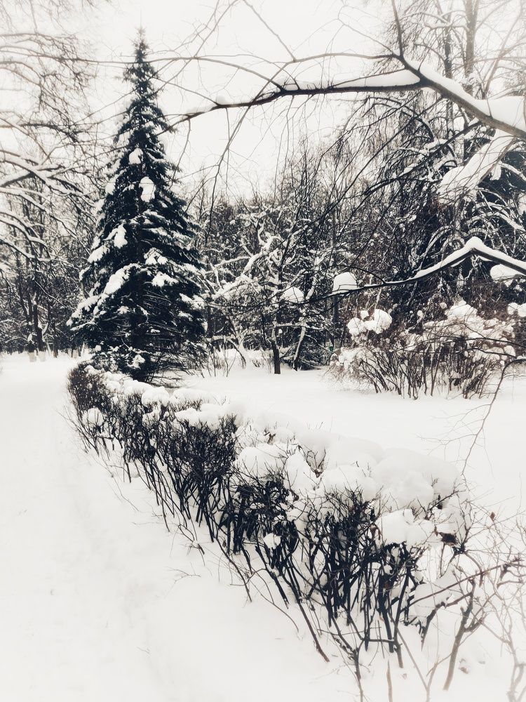 Photograph by Жанна