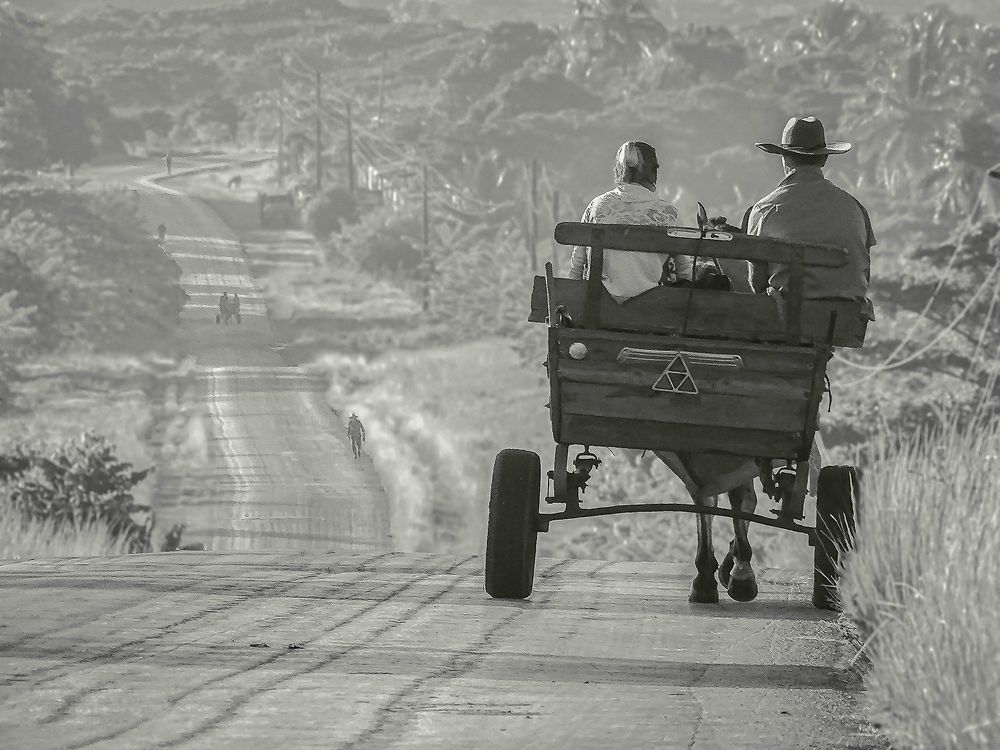 Amanecer en la campiña