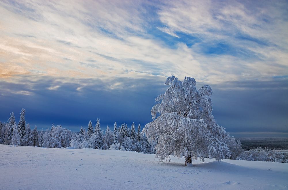 Photograph by Николай Ларионов