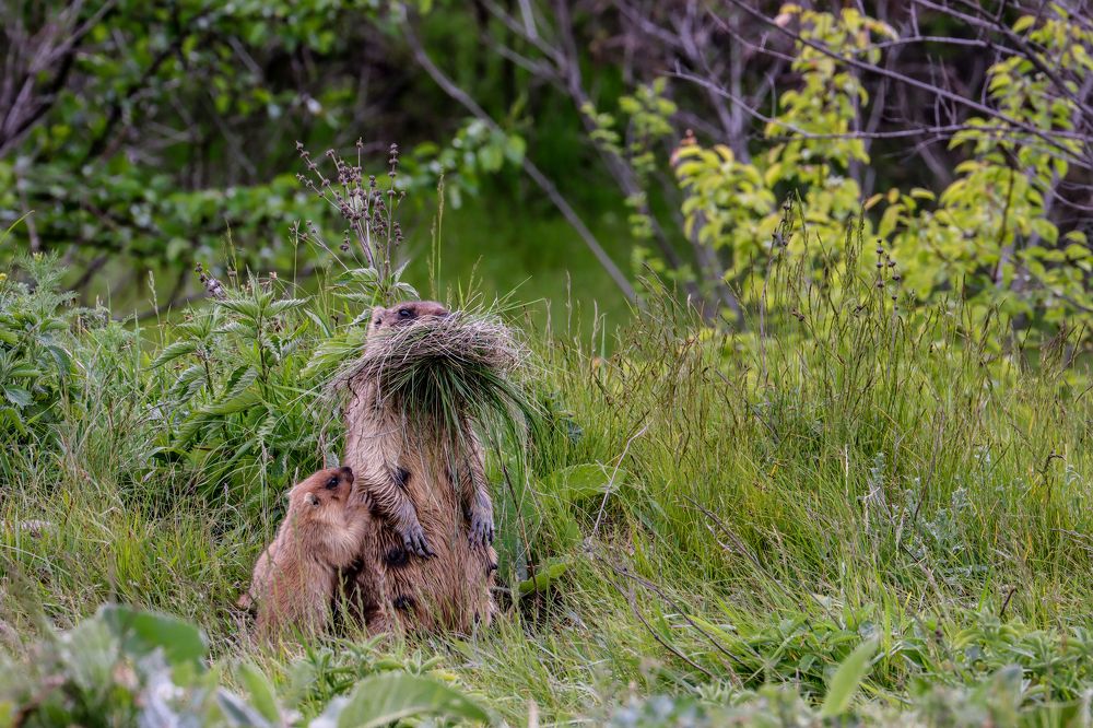 Photograph by Юлия Черкасова