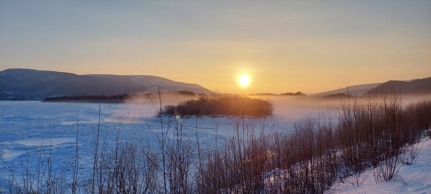 Photo #8725648