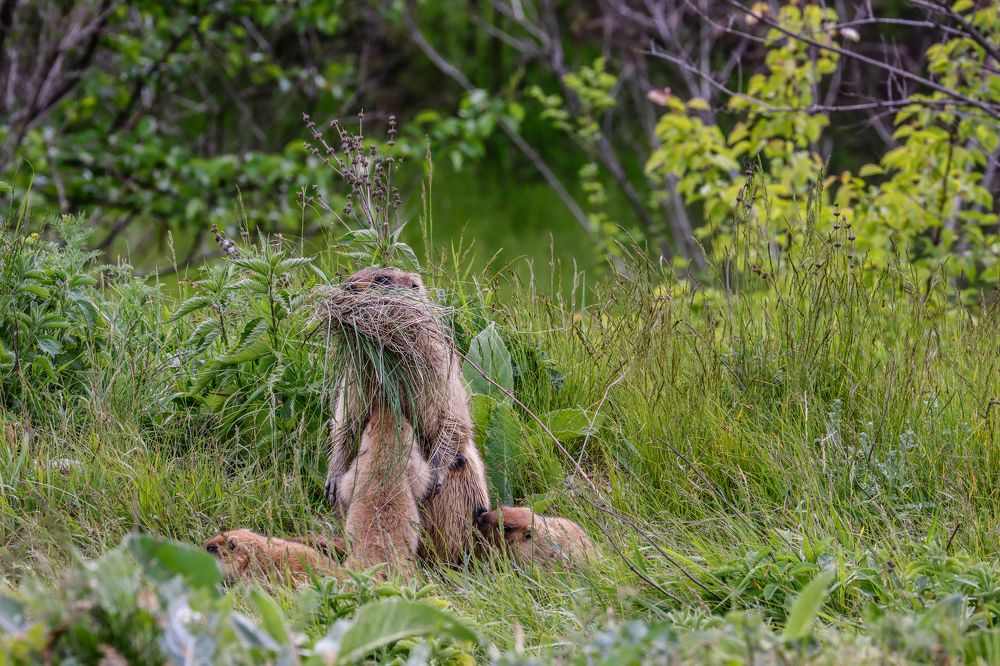 Photograph by Юлия Черкасова