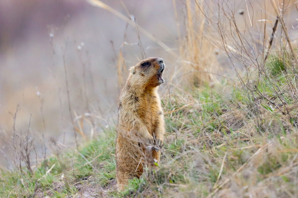 Photograph by Юлия Черкасова