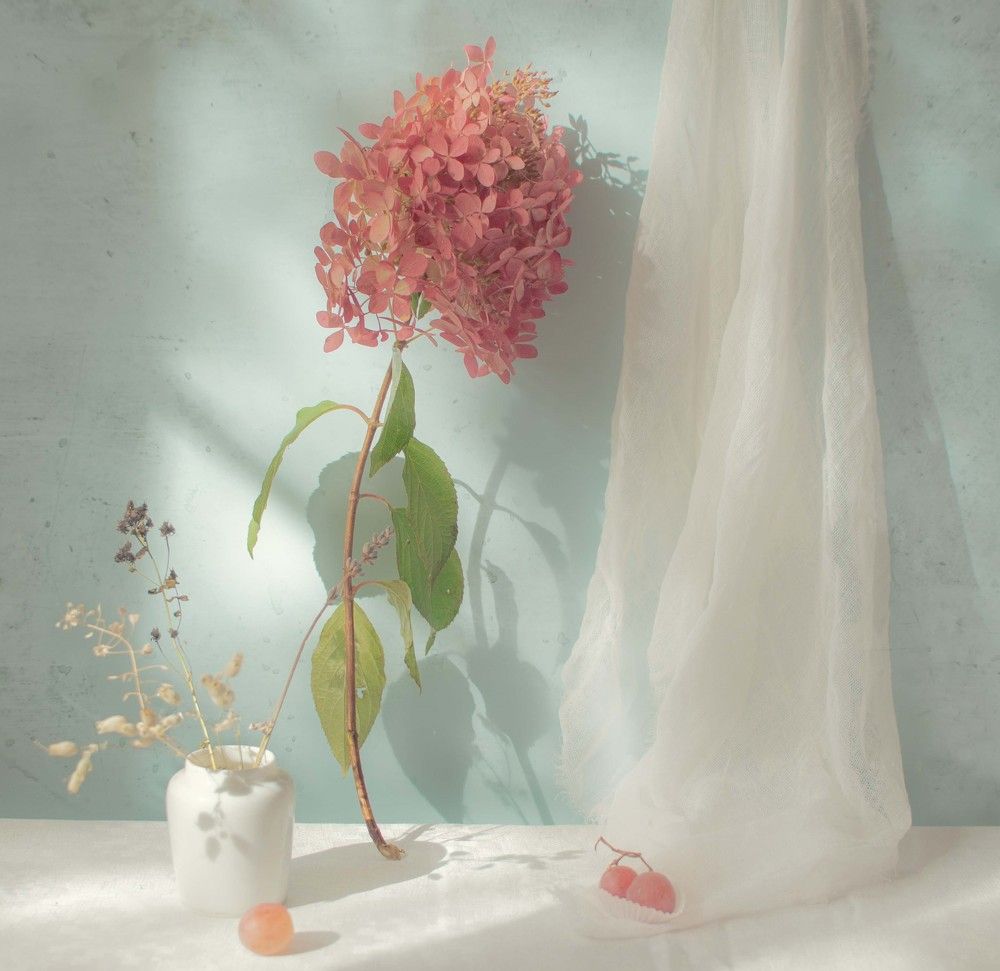 Photograph by Елена Кулыгина