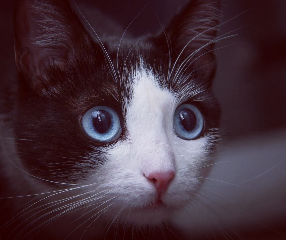 Photograph by Алина