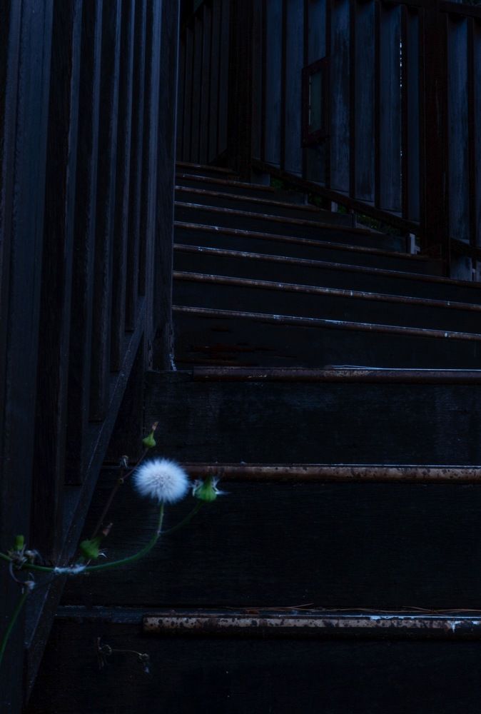 Photograph by Светлана