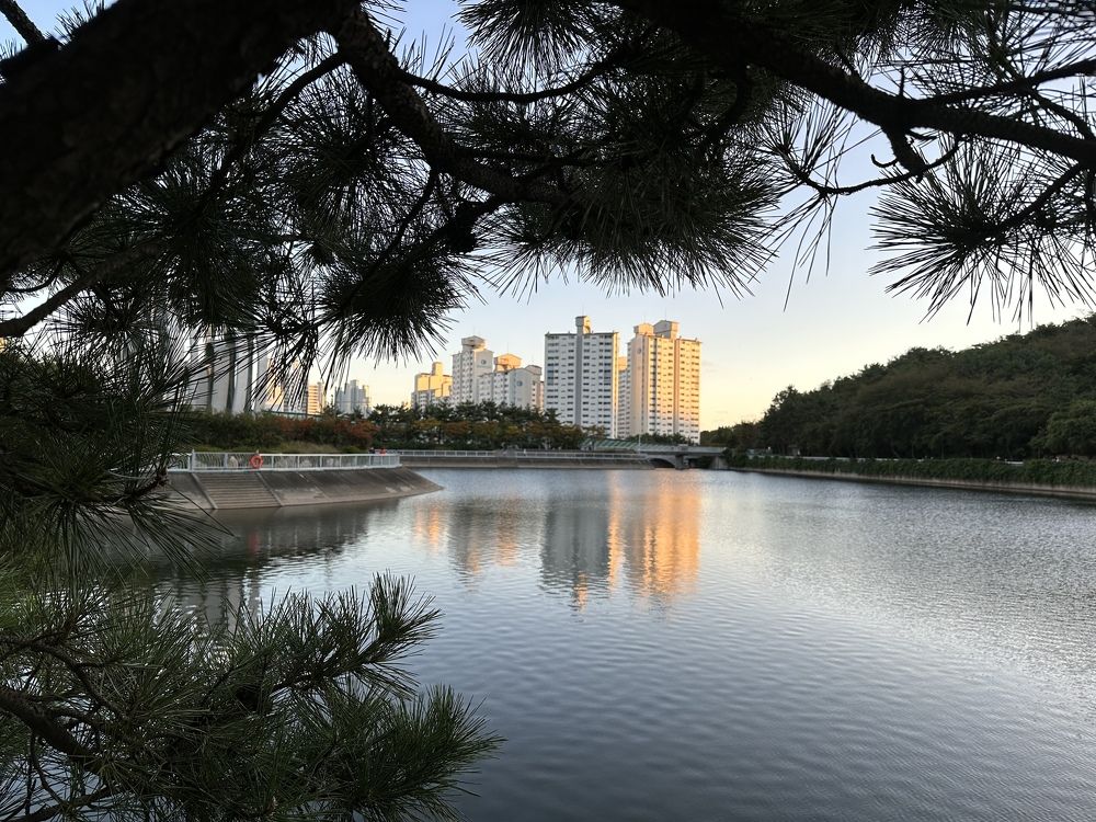 Photograph by Светлана