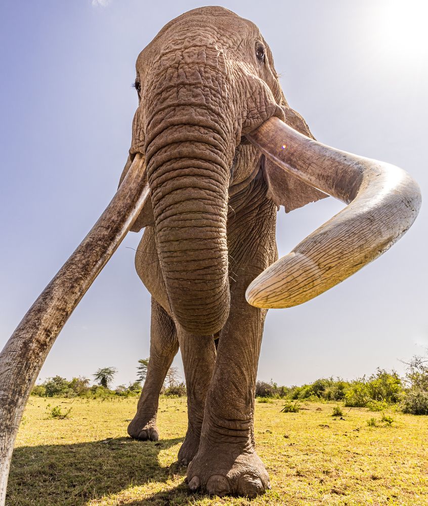 Фотография автора Clint Ralph