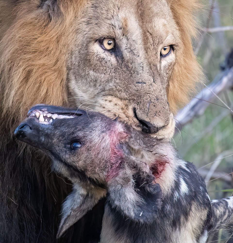 Фотография автора Clint Ralph