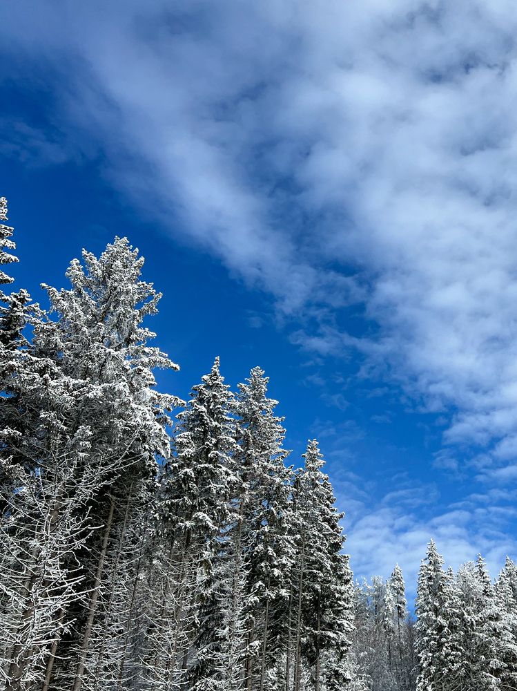 Photograph by Tatiana Chernaletskaya