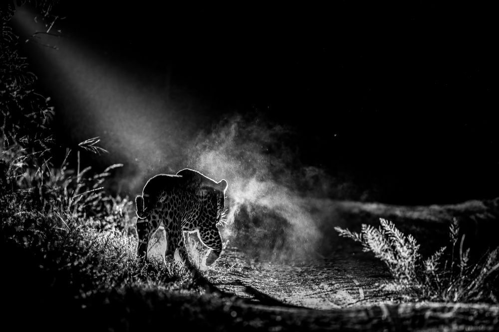 Фотография автора Clint Ralph