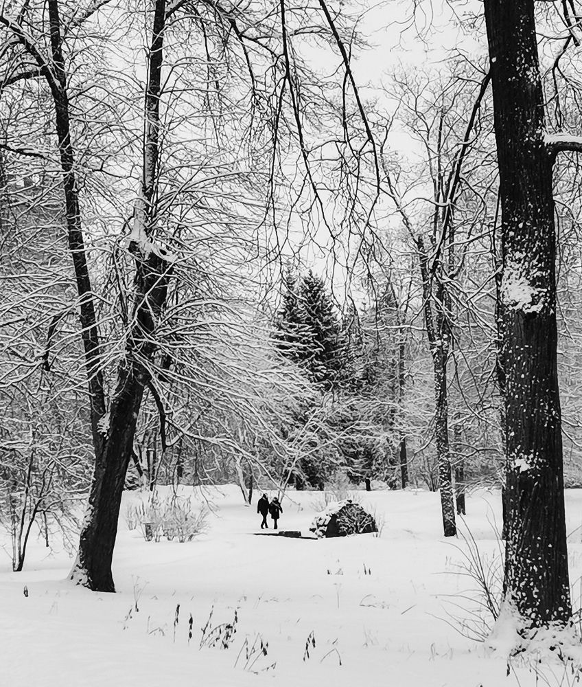 Photograph by Светлана Морева