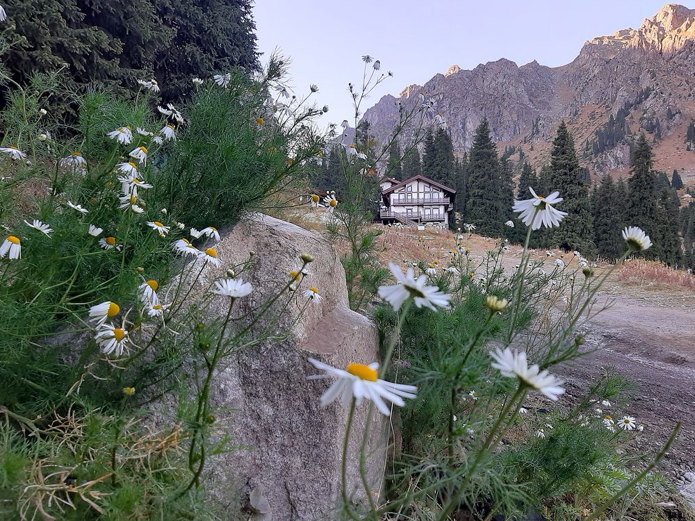 Горная окраина Алматы