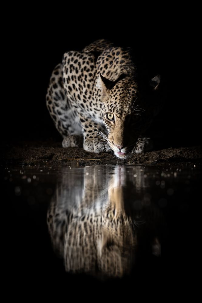 Фотография автора Clint Ralph