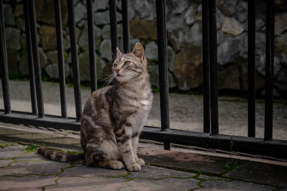 Photograph by Денис Бородич