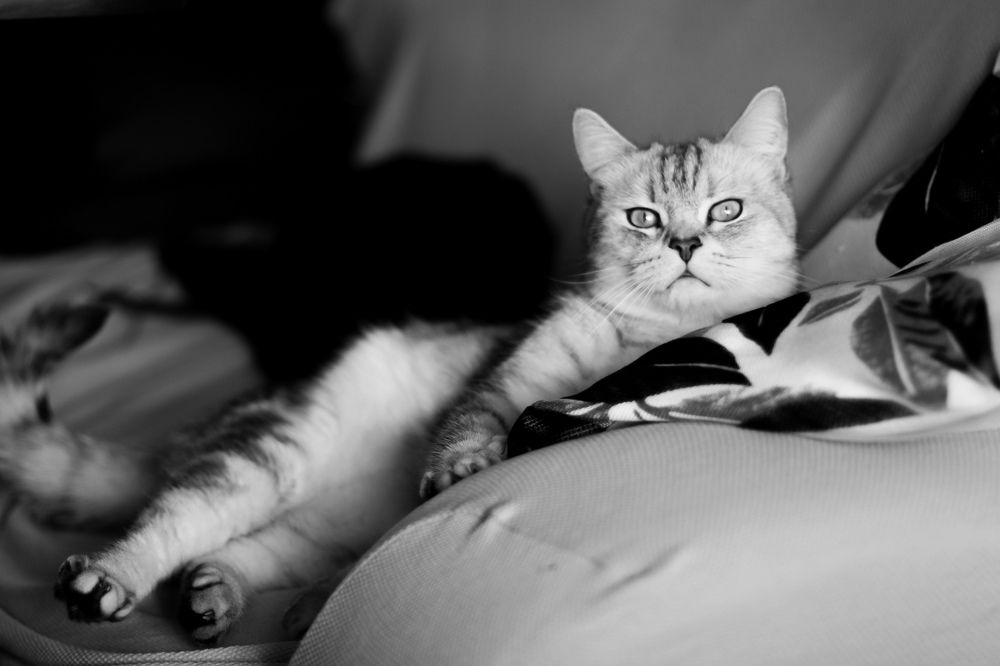 Photograph by Djilma Dark