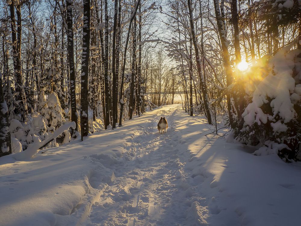 Photograph by Ольга Якшина