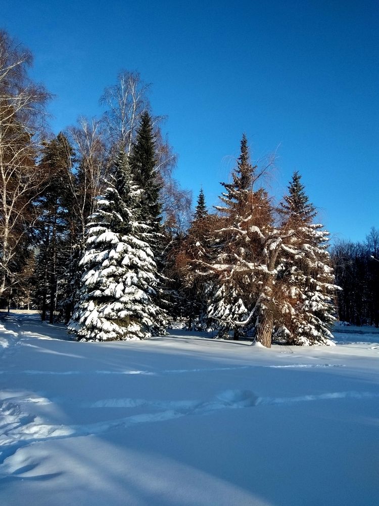 Photograph by Ольга Малина