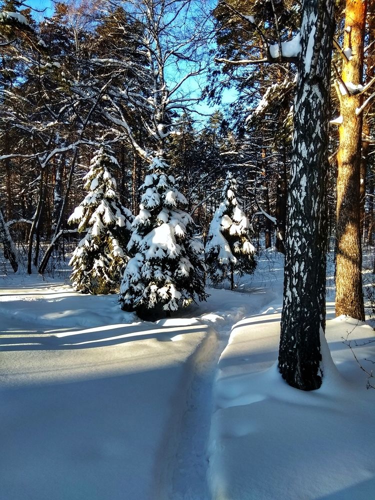 Photograph by Ольга Малина