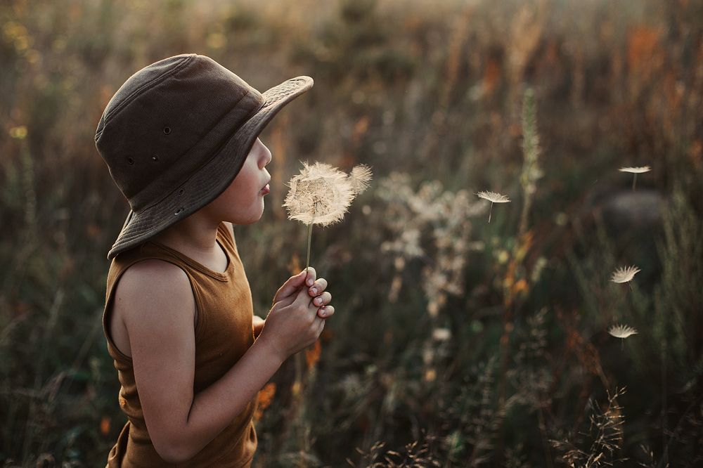 Фотография автора Анна Беляева