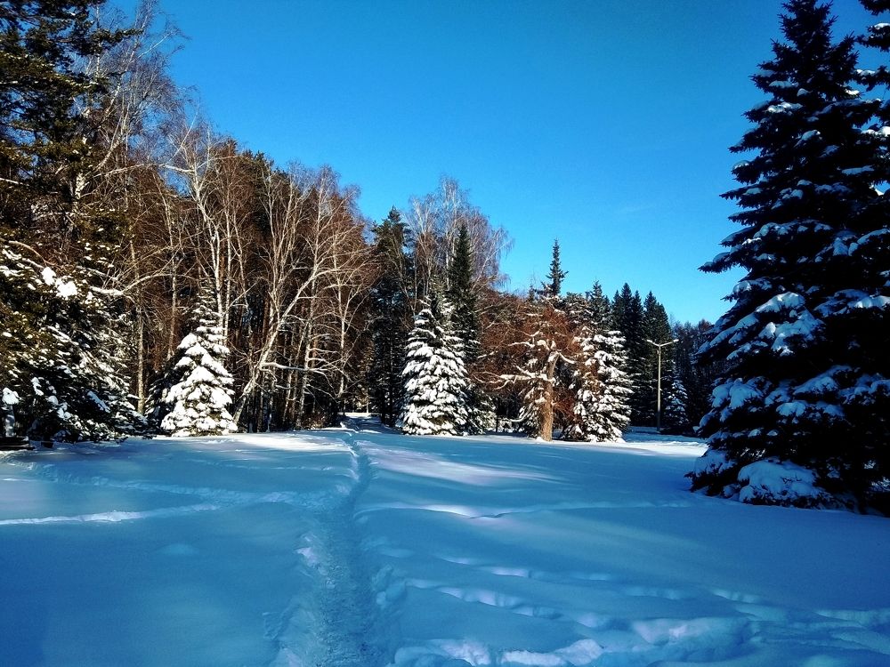 Photograph by Ольга Малина