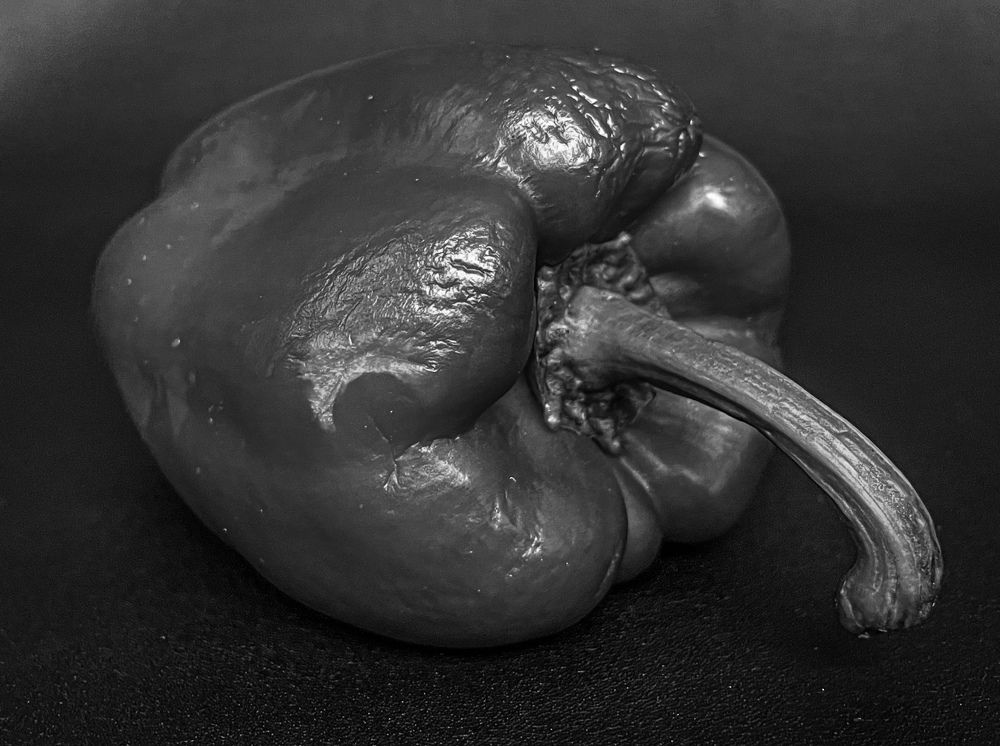 Photograph by Светлана