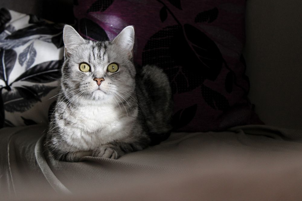 Photograph by Djilma Dark