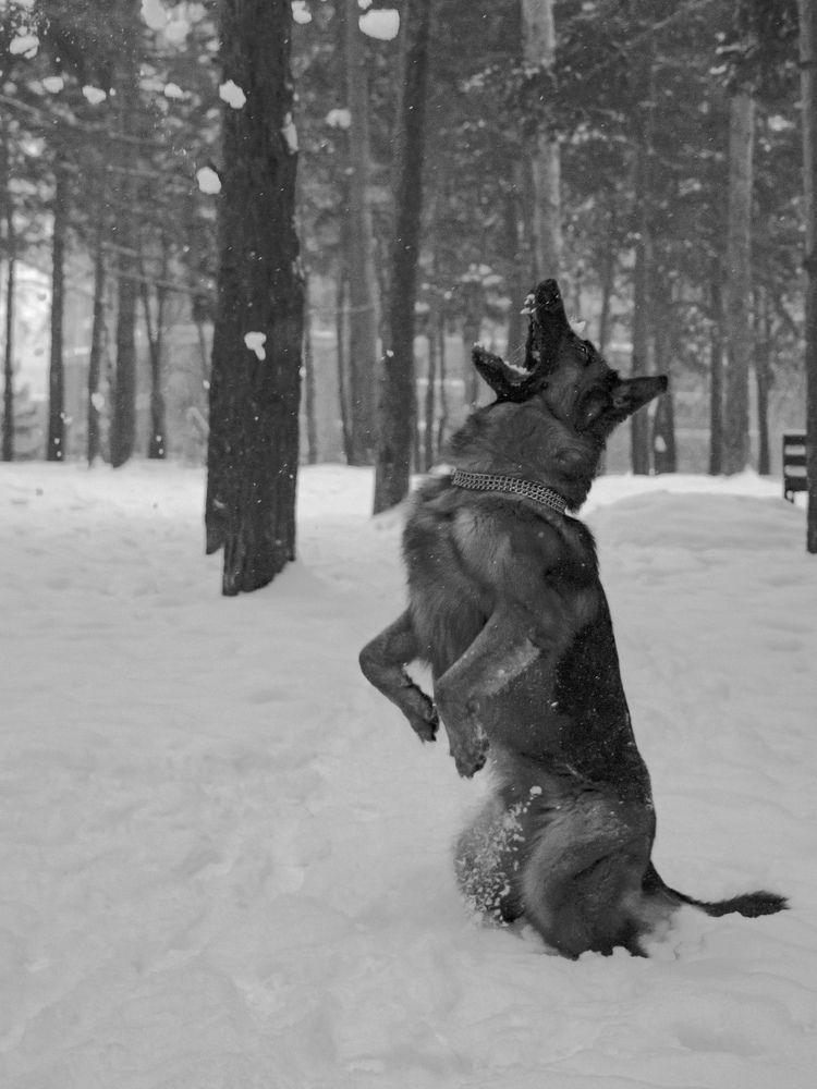 Photograph by Елена Павлова