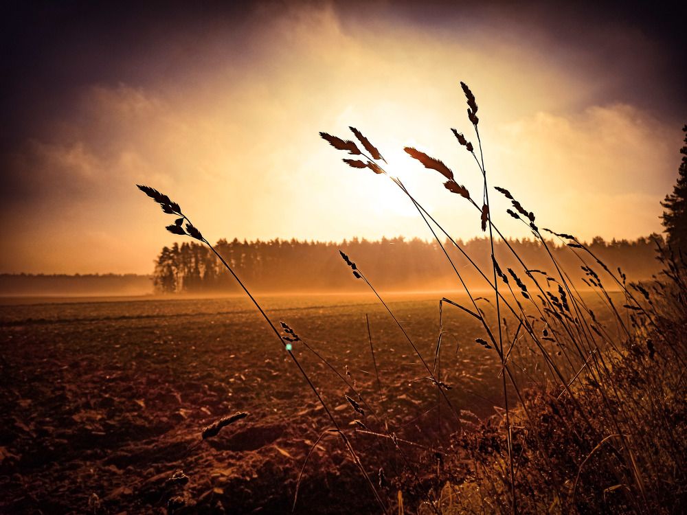 Photograph by Николай Яковлев