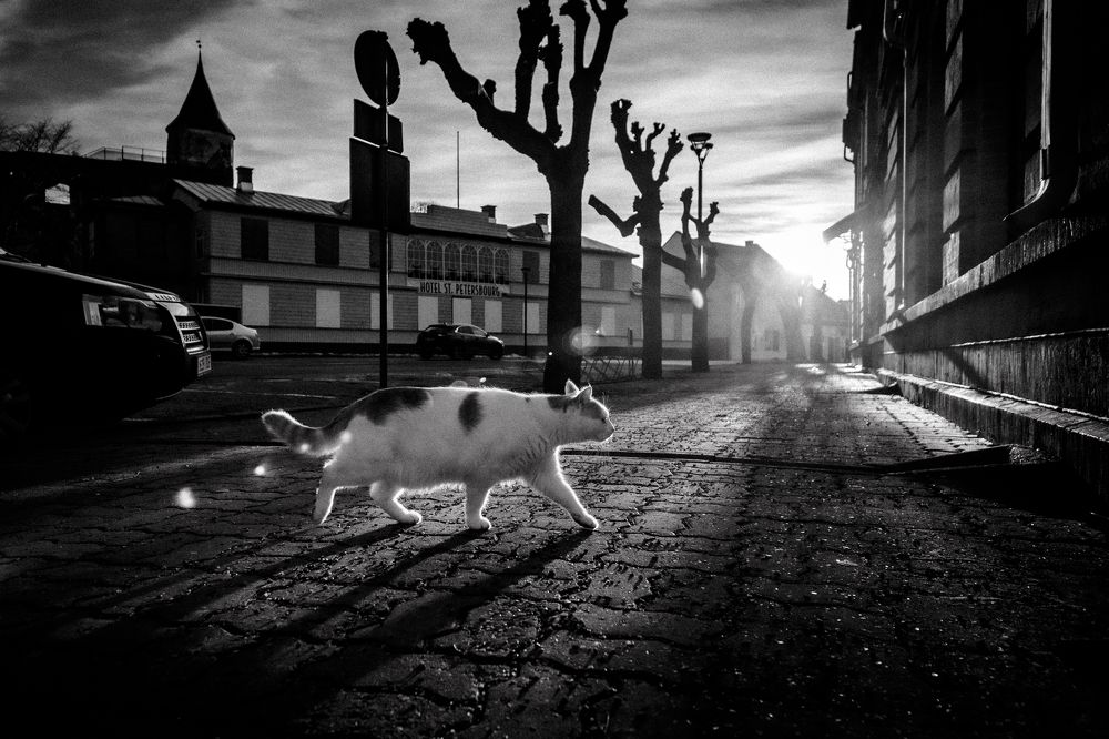 Photograph by Геннадий