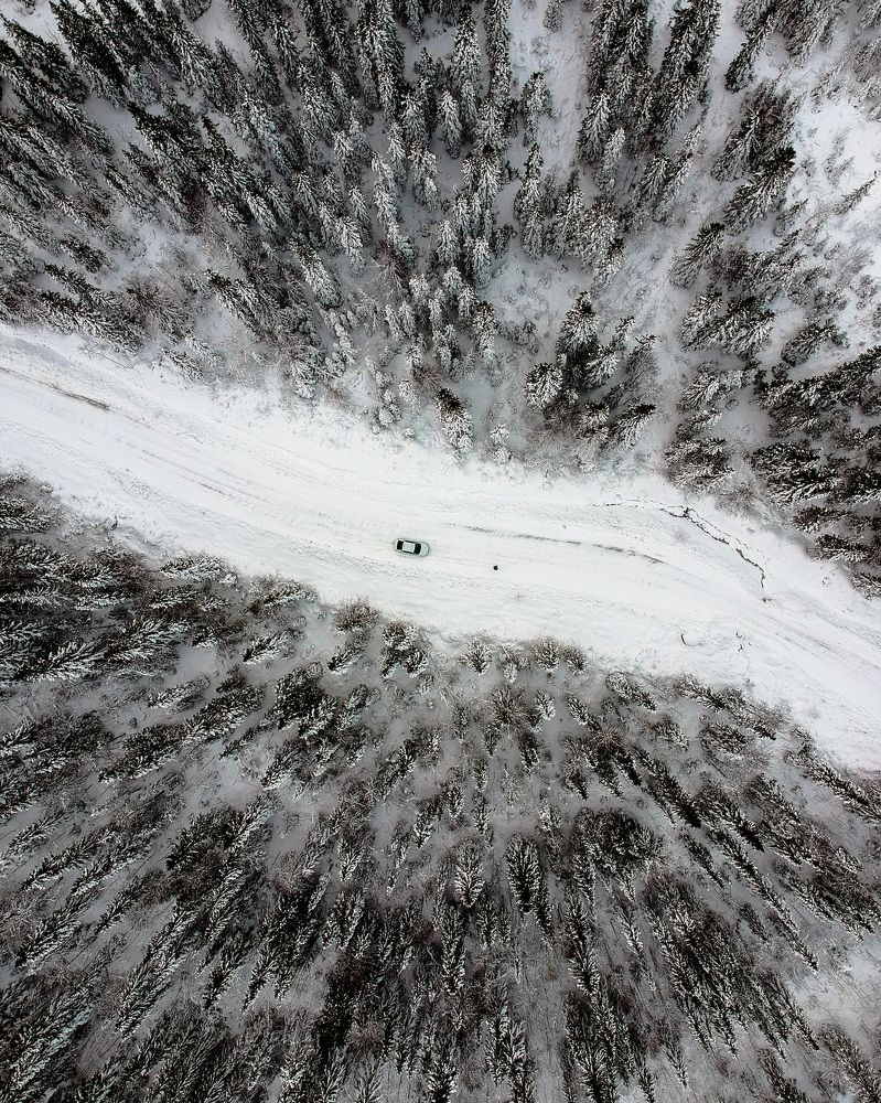 Фотография автора Сергей Ефимов