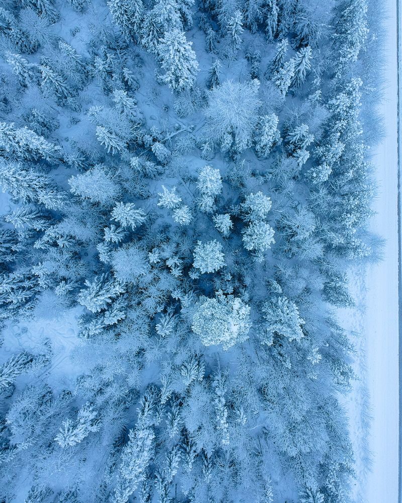 Фотография автора Сергей Ефимов