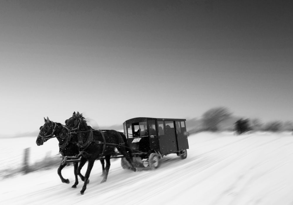 Through the Silence of Snow