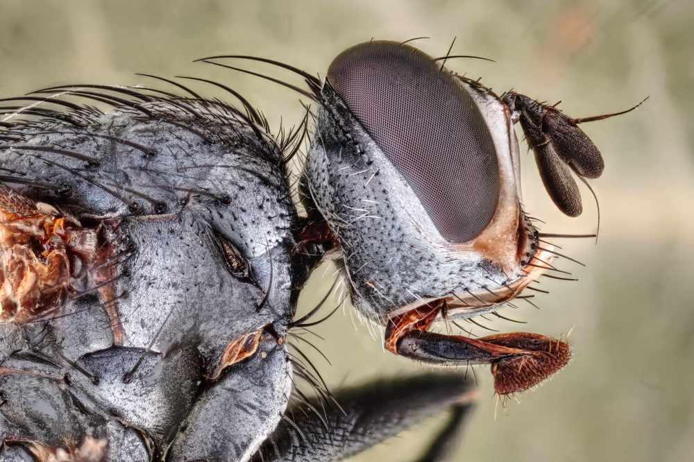 Photograph by Александр Трипольский