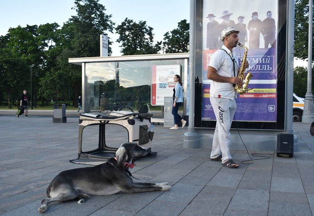 Photograph by Сергей Иванович Носов