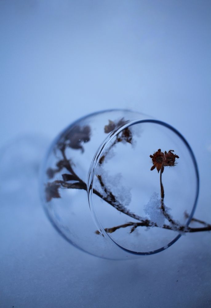 Photograph by Елена Змейкова